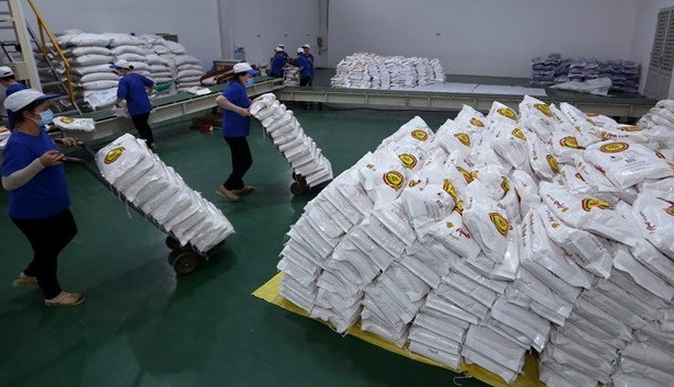 Hanoi dona seis mil toneladas de arroz a localidades afectadas gravemente por COVID-19 ảnh 1 Hanoi dona seis mil toneladas de arroz a localidades afectadas gravemente por COVID-19 ảnh 1