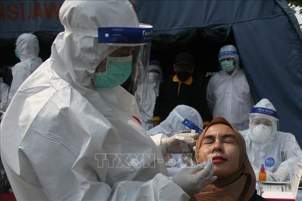 Indonesia rebaja precio de prueba de RT-PCR del COVID-19 ảnh 1 Indonesia rebaja precio de prueba de RT-PCR del COVID-19 ảnh 1