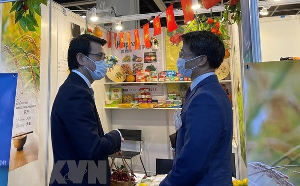 Vietnam amplía la cooperación con Hong Kong (China) en inversión y turismo ảnh 1 Vietnam amplía la cooperación con Hong Kong (China) en inversión y turismo ảnh 1