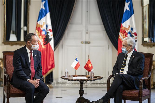 Ratifica presidente de Chile alta valoración a lazos con Vietnam ảnh 1 Ratifica presidente de Chile alta valoración a lazos con Vietnam ảnh 1