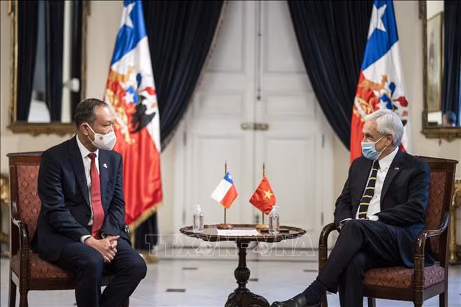 Ratifica presidente de Chile alta valoración a lazos con Vietnam ảnh 1