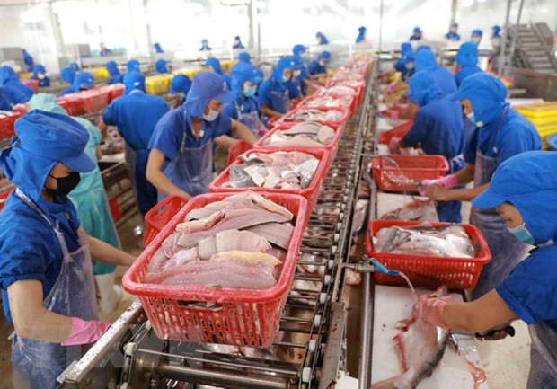 Ventas de productos acuícolas de Vietnam disminuyen debido al COVID-19 ảnh 1 Ventas de productos acuícolas de Vietnam disminuyen debido al COVID-19 ảnh 1