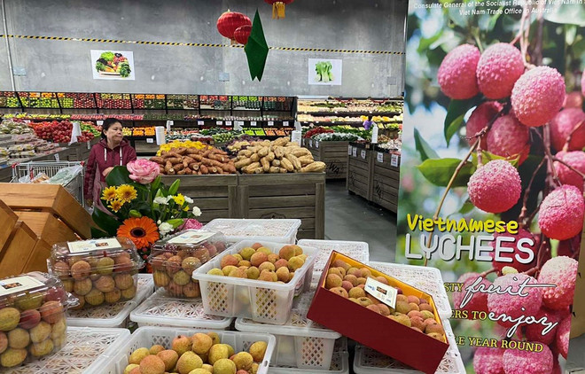 Aumentan exportaciones de productos agrícolas vietnamitas a Australia ảnh 1 Aumentan exportaciones de productos agrícolas vietnamitas a Australia ảnh 1