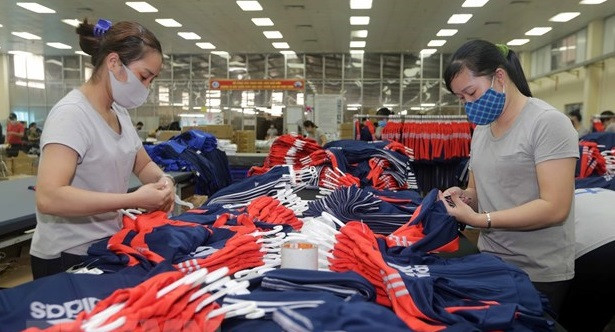 Establecen grupo asesor doméstico de Vietnam según el EVFTA ảnh 1