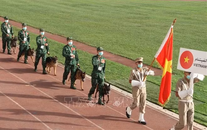 Vietnam participa en competencias de Juegos Militares 2021 en Argelia ảnh 1