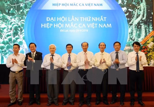 Fundada la Asociación Vietnamita de Macadamia ảnh 1 Fundada la Asociación Vietnamita de Macadamia ảnh 1