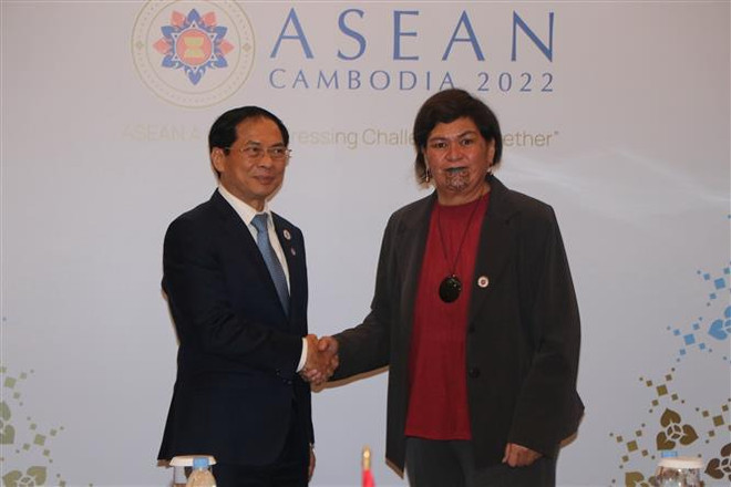 AMM-55: Canciller vietnamita se reúne con representantes de varios países ảnh 2