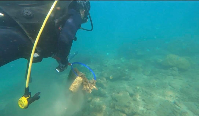 Monitoreo de desechos plásticos ayuda a proteger ecosistemas acuáticos en isla vietnamita ảnh 1 Monitoreo de desechos plásticos ayuda a proteger ecosistemas acuáticos en isla vietnamita ảnh 1