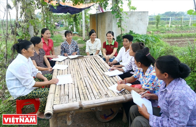 Organización belga ayuda a agricultores de Vietnam a superar pobreza ảnh 1 Organización belga ayuda a agricultores de Vietnam a superar pobreza ảnh 1