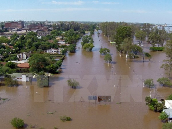 Miles de indonesio evacuados por deslaves e inundaciones ảnh 1