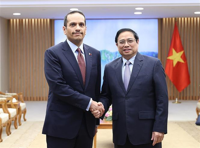 Qatar concede gran importancia a desarrollo de relaciones con Vietnam, destaca vicepremier ảnh 1 Qatar concede gran importancia a desarrollo de relaciones con Vietnam, destaca vicepremier ảnh 1