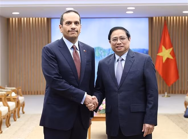 Qatar concede gran importancia a desarrollo de relaciones con Vietnam, destaca vicepremier ảnh 1