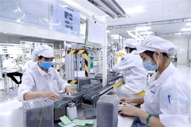 Expertos tailandeses promueven inversiones en Vietnam e India ảnh 1