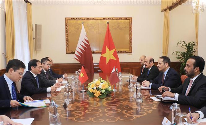Queda espacio para fortalecer cooperación entre Vietnam y Qatar, afirman funcionarios ảnh 1 Queda espacio para fortalecer cooperación entre Vietnam y Qatar, afirman funcionarios ảnh 1