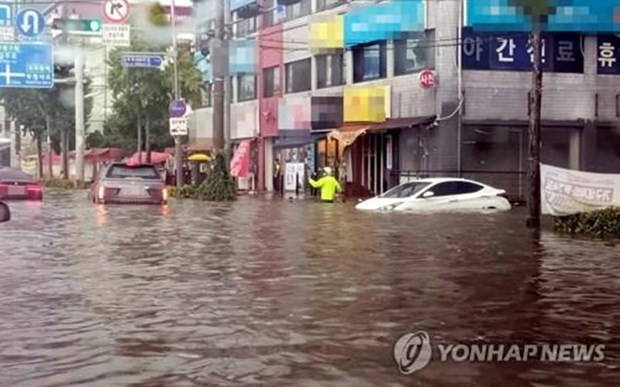 Expresa Vietnam simpatía con Corea del Sur por secuelas de inundaciones ảnh 1 Expresa Vietnam simpatía con Corea del Sur por secuelas de inundaciones ảnh 1