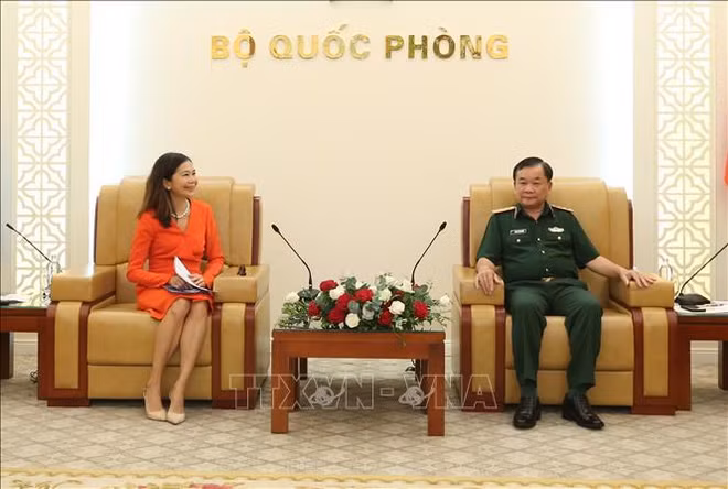 Aumentará Vietnam presencia en actividades de la ONU ảnh 1 Aumentará Vietnam presencia en actividades de la ONU ảnh 1
