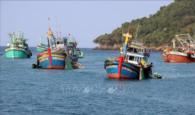 Provincias vietnamitas colaboran por luchar contra IUU ảnh 1 Provincias vietnamitas colaboran por luchar contra IUU ảnh 1