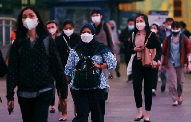 Recomiendan a indonesios prepararse ante posible aumento de precios de combustible ảnh 1 Recomiendan a indonesios prepararse ante posible aumento de precios de combustible ảnh 1
