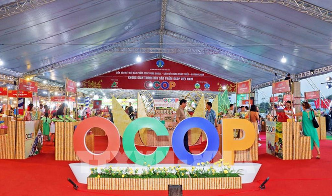 Programa “Cada Comuna, Un Producto” mejora competitividad agrícola de Vietnam ảnh 1 Programa “Cada Comuna, Un Producto” mejora competitividad agrícola de Vietnam ảnh 1