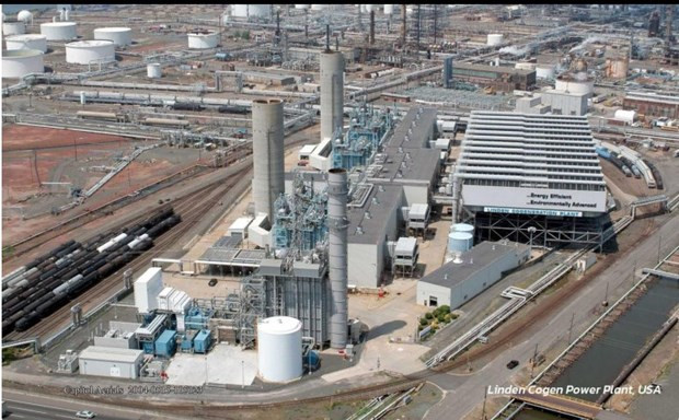 Tailandia apuesta por las energías alternativas ảnh 1