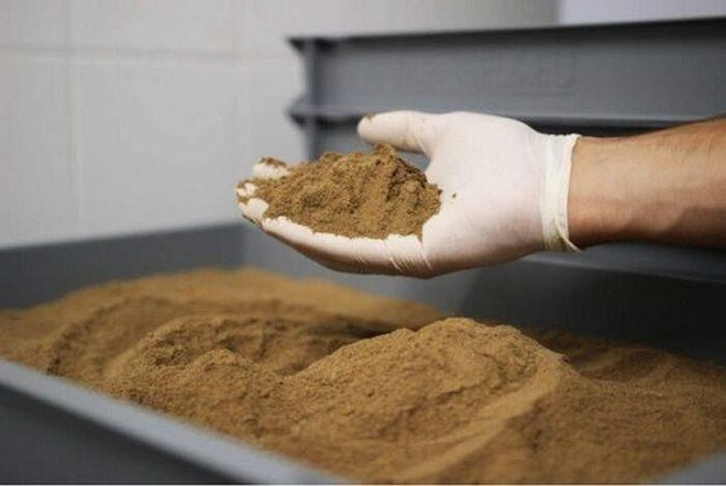 Vietnam, segundo proveedor de harina de pescado a China en el mundo ảnh 1 Vietnam, segundo proveedor de harina de pescado a China en el mundo ảnh 1