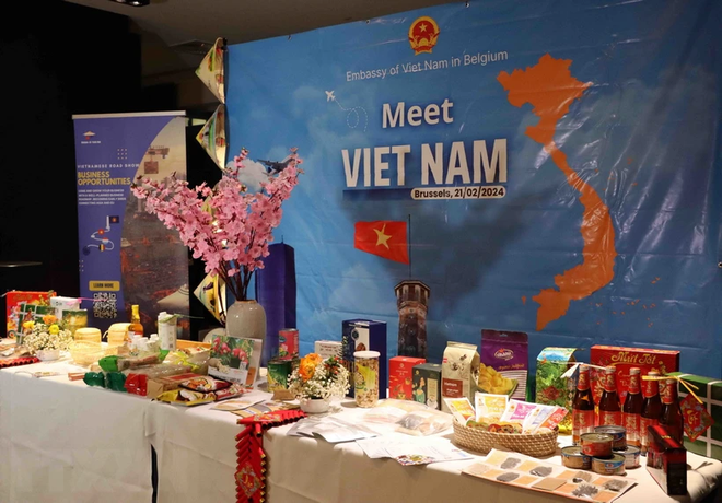 Buscan medidas para promover cooperación Vietnam-Bélgica ảnh 1 Buscan medidas para promover cooperación Vietnam-Bélgica ảnh 1