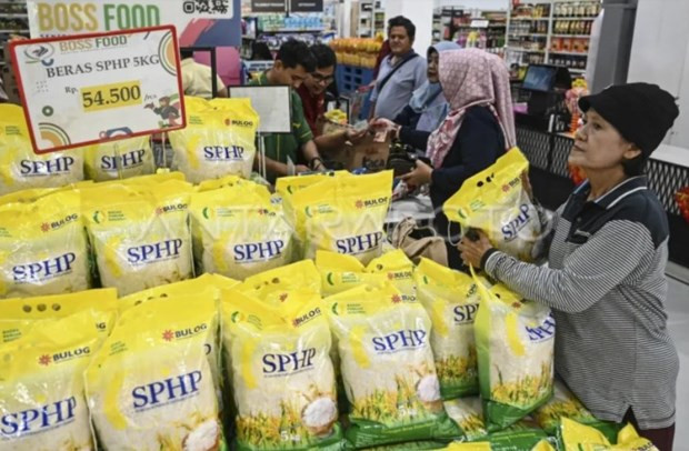 Indonesia importará 1,6 millones de toneladas adicionales de arroz ảnh 1 Indonesia importará 1,6 millones de toneladas adicionales de arroz ảnh 1