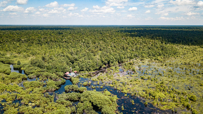 Indonesia actualiza regulaciones sobre inversión verde ảnh 1 Indonesia actualiza regulaciones sobre inversión verde ảnh 1