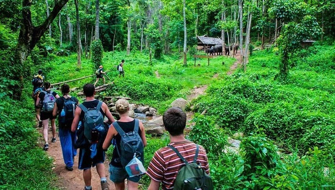 Busca Vietnam explotar potencial de ecoturismo forestal ảnh 1 Busca Vietnam explotar potencial de ecoturismo forestal ảnh 1