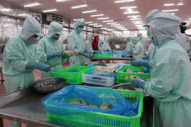 Canadá da prioridad a Vietnam en lazos con Indo-Pacífico ảnh 1