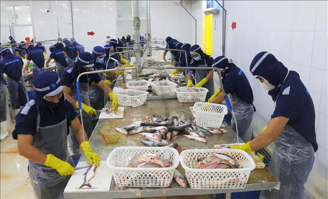 Más del 97% de trabajadores en Ciudad Ho Chi Minh volvieron al trabajo después del Tet ảnh 1 Más del 97% de trabajadores en Ciudad Ho Chi Minh volvieron al trabajo después del Tet ảnh 1