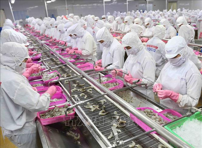 Comercio de productos agroforestales y acuáticos de Vietnam aumenta 50,3% ảnh 1 Comercio de productos agroforestales y acuáticos de Vietnam aumenta 50,3% ảnh 1