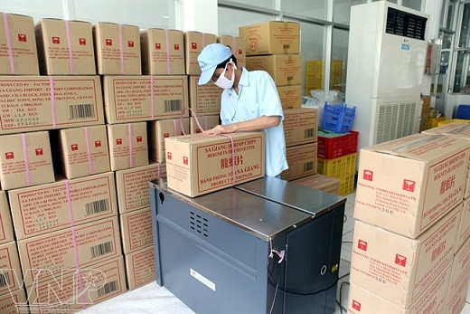 Galletitas de gambas de Sa Giang ảnh 8