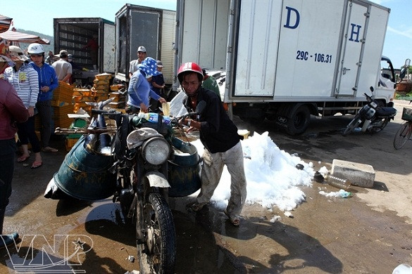 Temporada de atún en puerto vietnamita ảnh 10 Temporada de atún en puerto vietnamita ảnh 10
