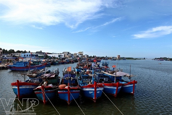 Temporada de atún en puerto vietnamita ảnh 16 Temporada de atún en puerto vietnamita ảnh 16