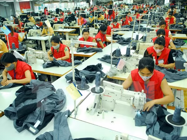Vietnam supera a Camboya en exportación de textil y confecciones ảnh 1