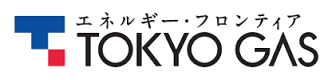 Tokyo Gas estudia para invertir en provincia vietnamita de Ha Nam ảnh 1