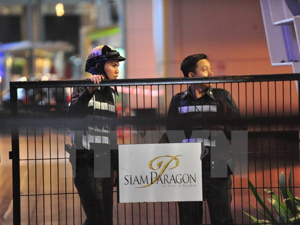 Incauta policía tailandesa droga que intentaban enviar a Australia ảnh 1