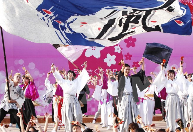 Organizan festival japonés Hanami en Da Nang ảnh 1 Organizan festival japonés Hanami en Da Nang ảnh 1