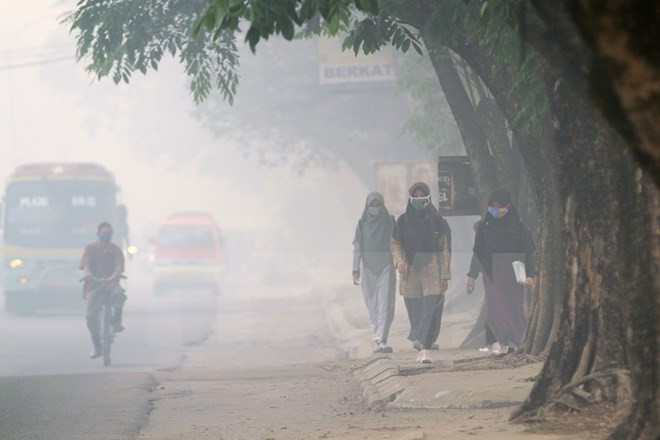 Polución ambiental afecta a la salud de 500 mil indonesios ảnh 1