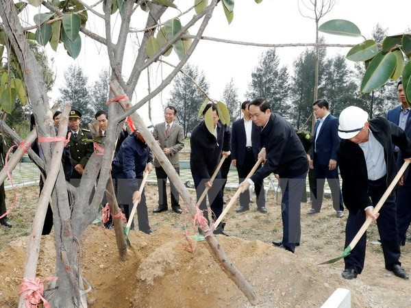 Presidente vietnamita urge a impulsar la plantación de árboles ảnh 1 Presidente vietnamita urge a impulsar la plantación de árboles ảnh 1