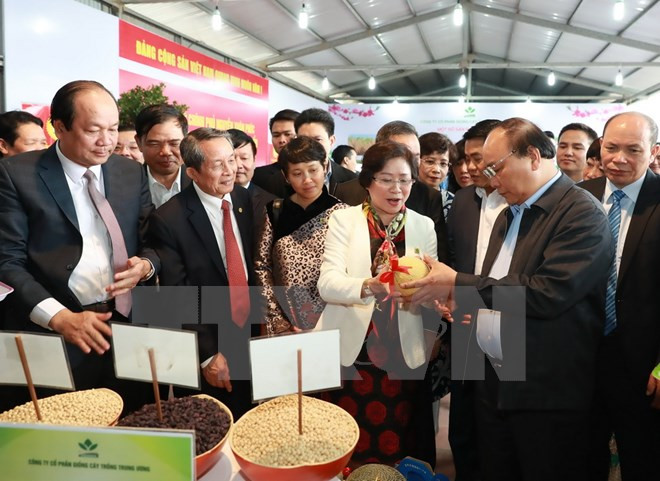 Premier vietnamita comprometido con promoción de productos agrícolas ảnh 1