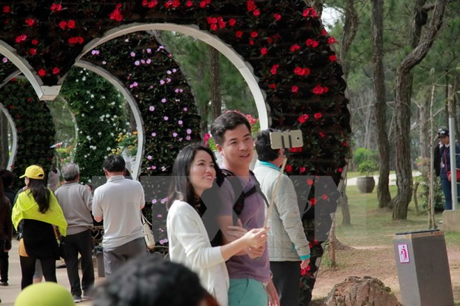 Promisorio inicio para turismo vietnamita en Año Nuevo Lunar 2017 ​ ảnh 1