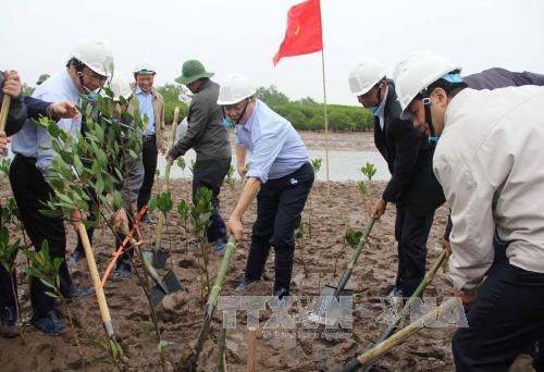 Mitin en Vietnam por Día Mundial de los Humedales ảnh 1 Mitin en Vietnam por Día Mundial de los Humedales ảnh 1