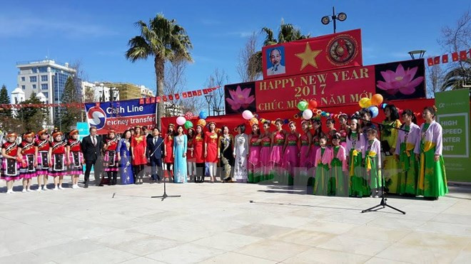 Vietnamitas en Chipre celebran Año Nuevo Lunar 2017 ảnh 1 Vietnamitas en Chipre celebran Año Nuevo Lunar 2017 ảnh 1