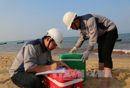 Urgen a control del ambiente marino en provincias centrovietnamitas ảnh 1 Urgen a control del ambiente marino en provincias centrovietnamitas ảnh 1