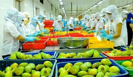 Vietnam para exportar más vegetales y frutas ảnh 1 Vietnam para exportar más vegetales y frutas ảnh 1