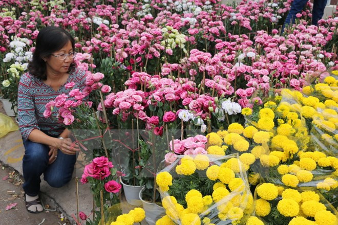 Se aproxima mayor festival de rosas en Vietnam ảnh 1
