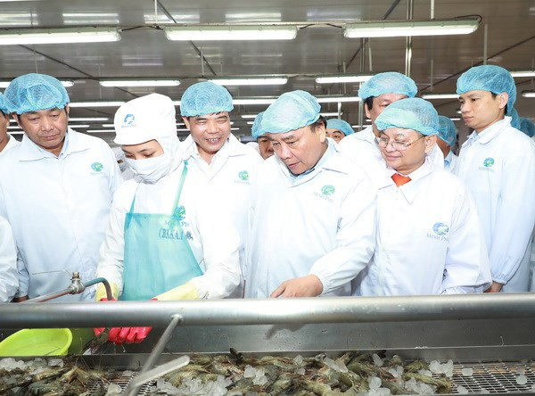 Premier vietnamita visita empresa líder de exportación de camarones en mundo ảnh 1 Premier vietnamita visita empresa líder de exportación de camarones en mundo ảnh 1