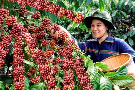  Vietnam empeña esfuerzos para conectarse con cadena global de valores ảnh 1